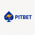 PitBet Casino Logo